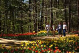 gardens